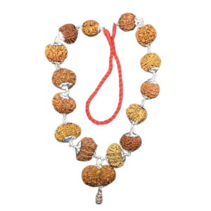 1 से 14 मुखी रुद्राक्ष माला – 1 To 14 Mukhi Rudraksha Mala
