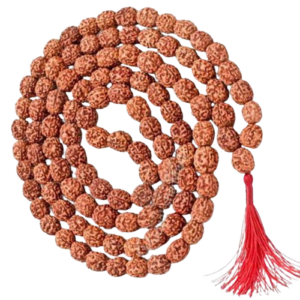 3 मुखी रुद्राक्ष ( माला के साथ ) – 3 Mukhi Rudraksha Mala