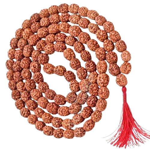 3 मुखी रुद्राक्ष ( माला के साथ ) – 3 Mukhi Rudraksha Mala