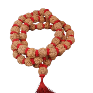 5 मुखी रुद्राक्ष ( माला के साथ ) –  5 Mukhi Rudraksha Mala