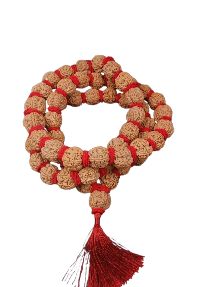 5 मुखी रुद्राक्ष ( माला के साथ ) –  5 Mukhi Rudraksha Mala