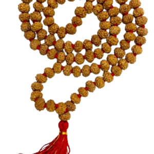6 मुखी रुद्राक्ष ( माला के साथ ) – 6 Mukhi Rudraksha Mala