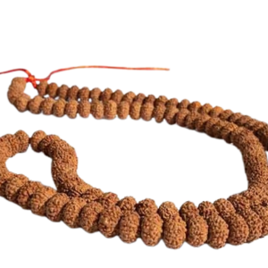 7 मुखी रुद्राक्ष ( माला के साथ ) –  7 Mukhi Rudraksha Mala
