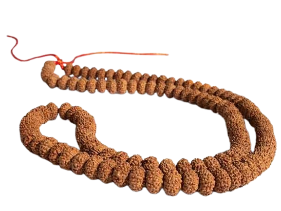 7 मुखी रुद्राक्ष ( माला के साथ ) –  7 Mukhi Rudraksha Mala