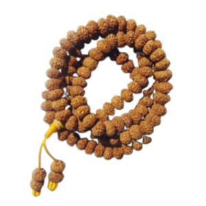 9 मुखी रुद्राक्ष ( माला के साथ ) – 9 Mukhi Rudraksha Mala