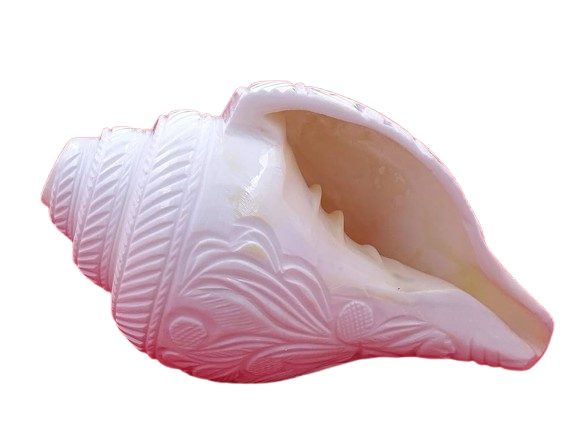 Flower Carving Natural Blowing Shankha - 6.25 Inches