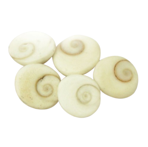 Gomati Chakra