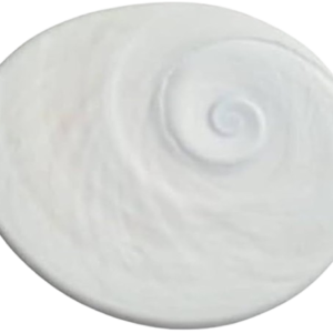 Gomati Chakra - Big Size