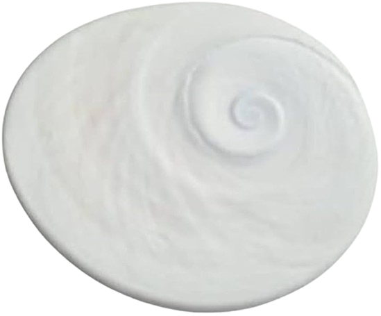 Gomati Chakra - Big Size