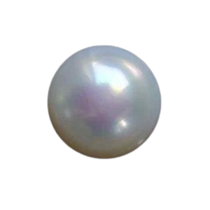 Pearl (मोती)