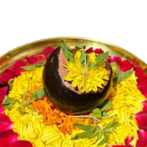 Lakshmi Narayan Tulsi Shaligram Stone Pooja Set