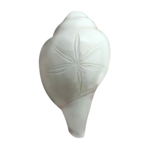 Natural Blowing Shankh for Pooja with Flower Carving Work