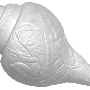Original Flower Carving Bajanewala Shankham