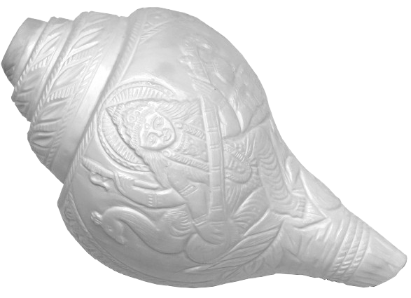 Original Flower Carving Bajanewala Shankham