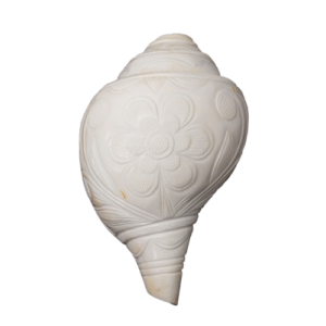 Religious Flower Carving Natural Pooja Blowing Shankh