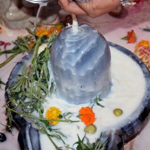 Rudrabhishek Puja