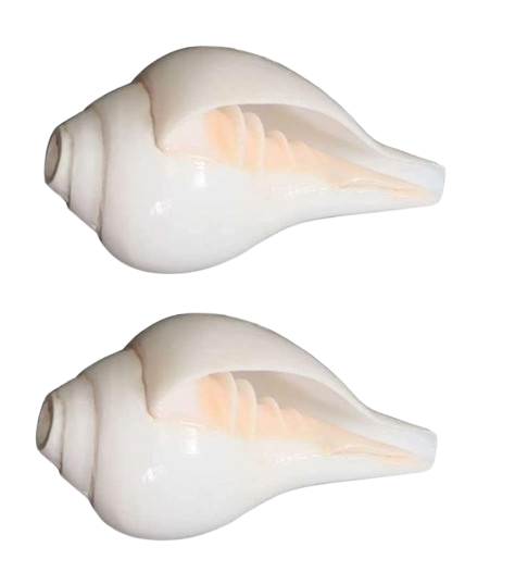 Small Puja Shankh set of 2