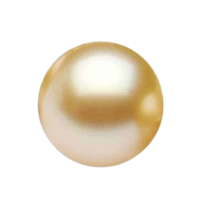Export Quality South Sea Golden Pearl (साउथ सी गोल्डन मोती)