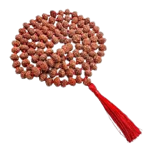 4 मुखी रुद्राक्ष ( माला के साथ ) –  4 Mukhi Rudraksha Mala