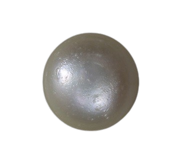 Export Quality South Sea Pearl (साउथ सी मोती)