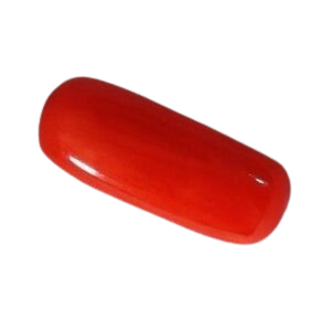 Italian Coral (मूंगा)
