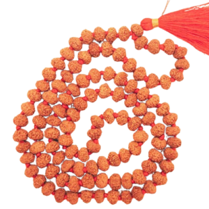 8 मुखी रुद्राक्ष ( माला के साथ )-8 Rudraksha Mala