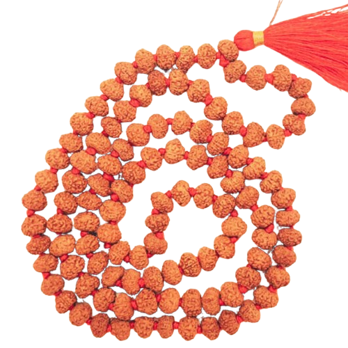 8 मुखी रुद्राक्ष ( माला के साथ )-8 Rudraksha Mala