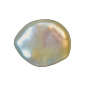 Export Quality Keshi Pearl ( केशी मोती)