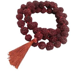 Rudraksha Mala 54 beads